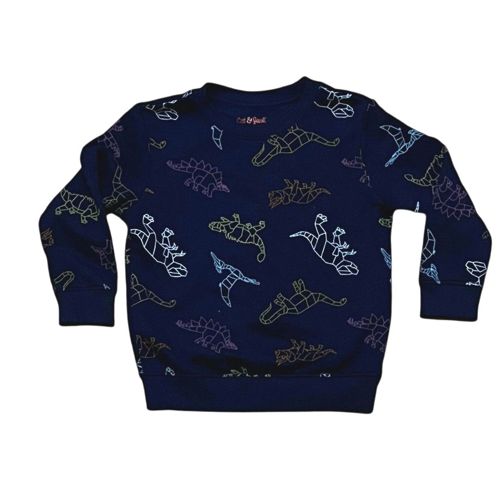 Cat & Jack dinosaur CrewNeck Sweater Size 4T