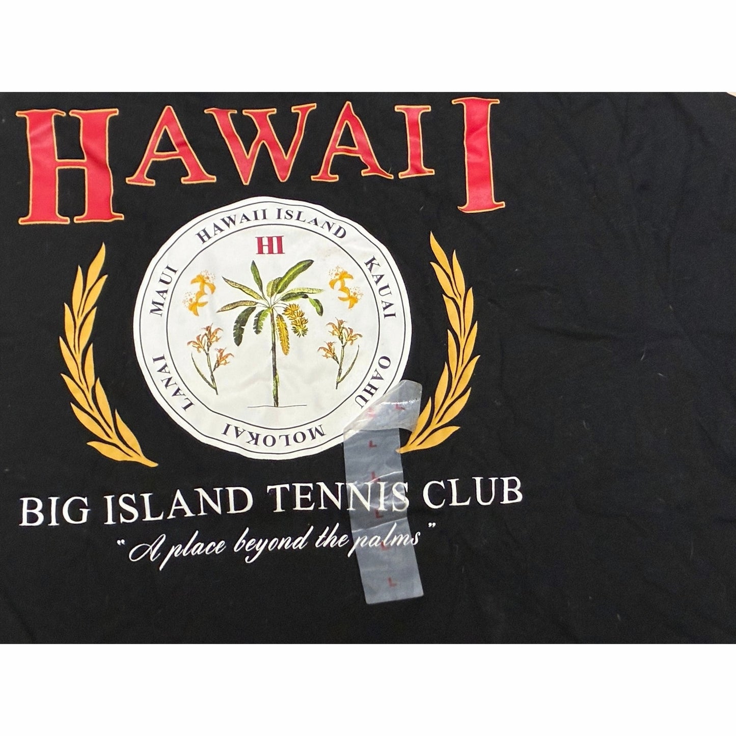 Old Navy Hawaii Black Men’s T-Shirts size Large New