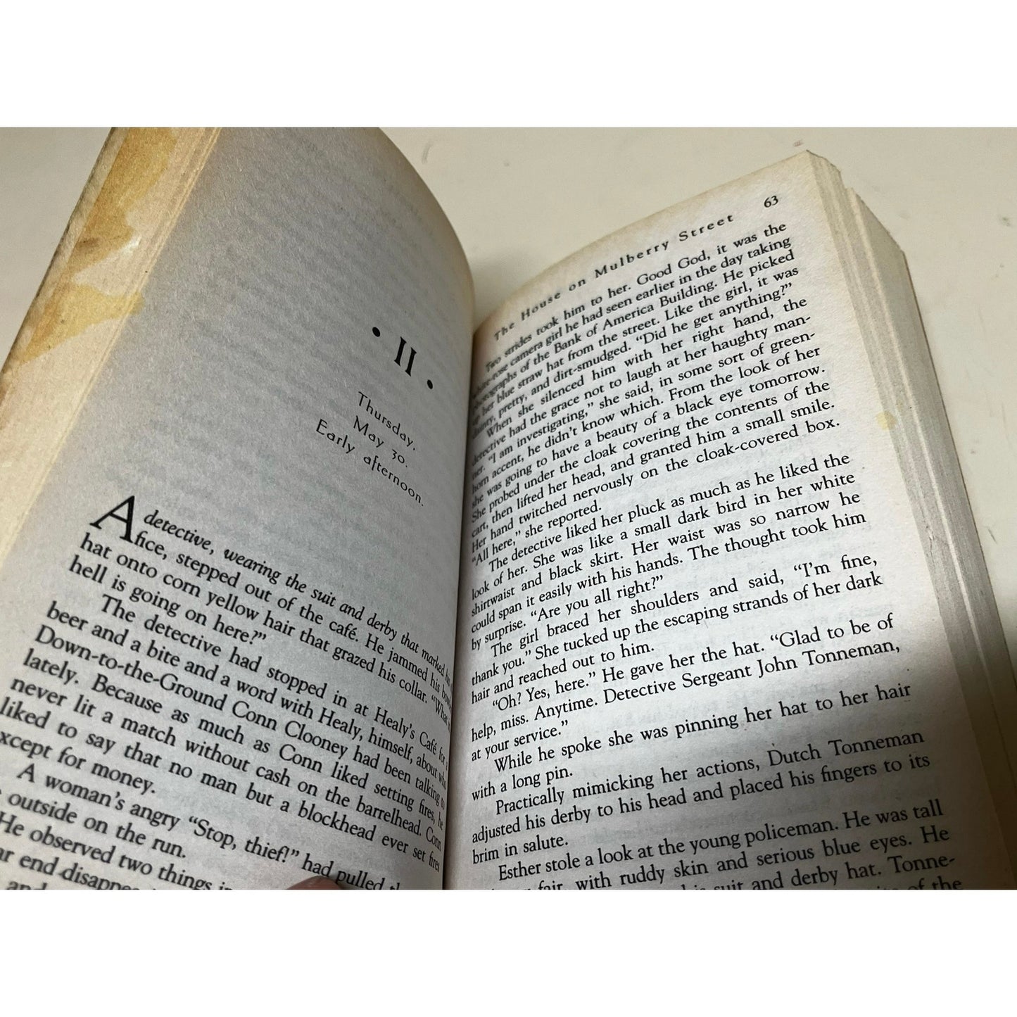 The House On Mulberry Street By Maan Meyers book