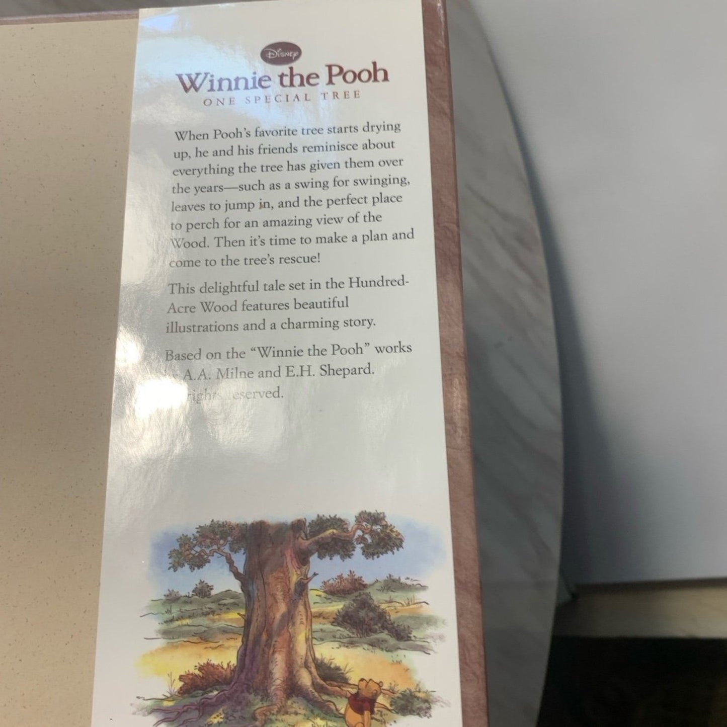 Winnie The Pooh: One Special Tree by K. Emily Hutta DISNEY Book