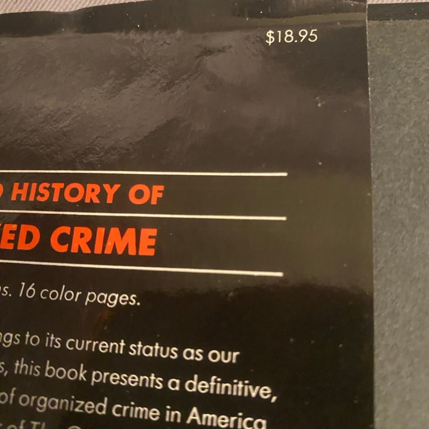 The Illustrated History of Organized Crime book